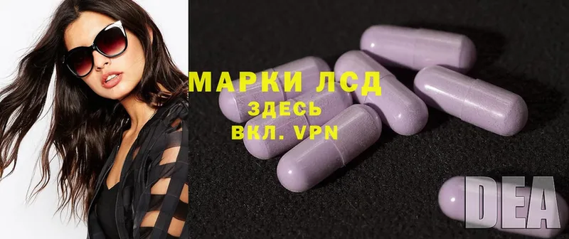 как найти   Чехов  MEGA вход  Лсд 25 экстази ecstasy 